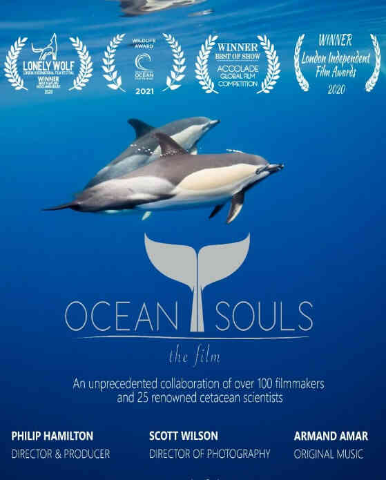 海洋之魂