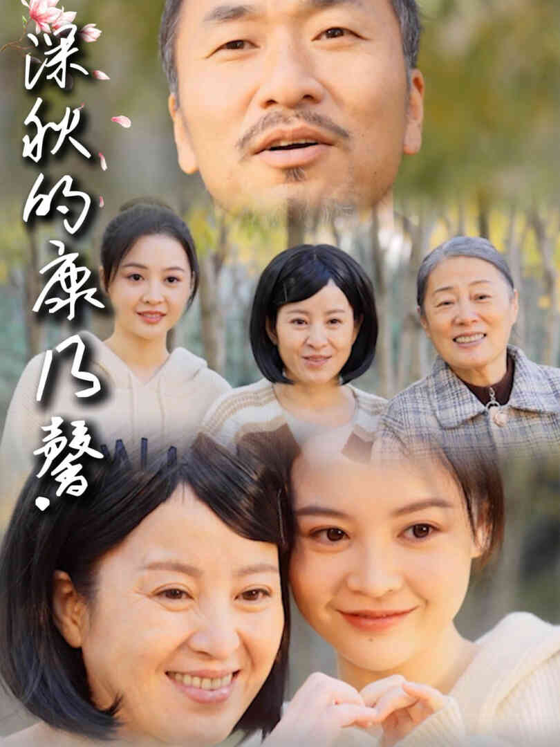 深秋的康乃馨