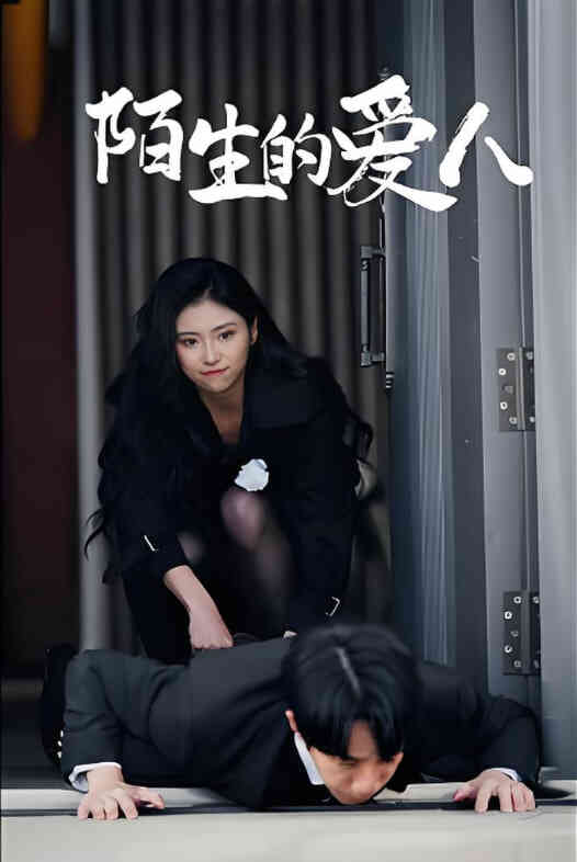 陌生的爱人