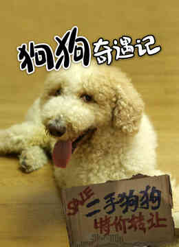 狗狗奇遇记