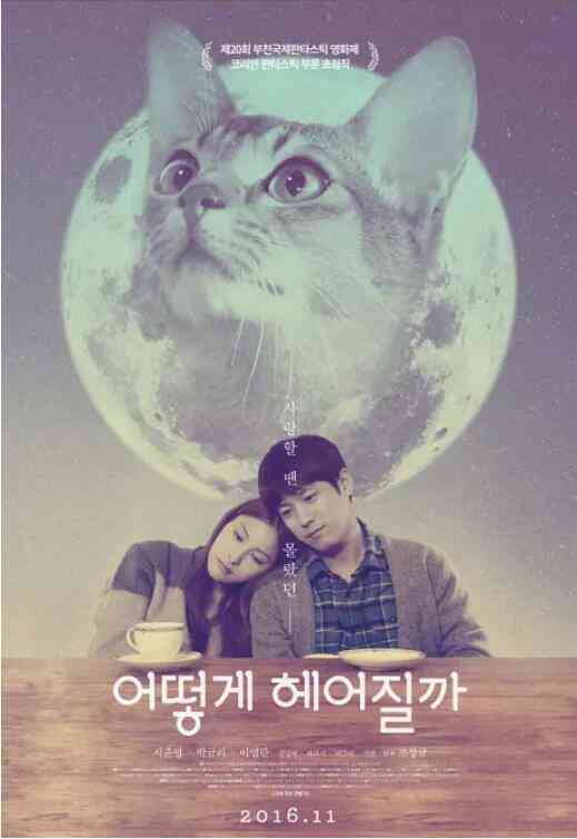 如何与我的猫分手