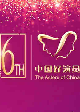 第六届中国电视好演员年度盛典