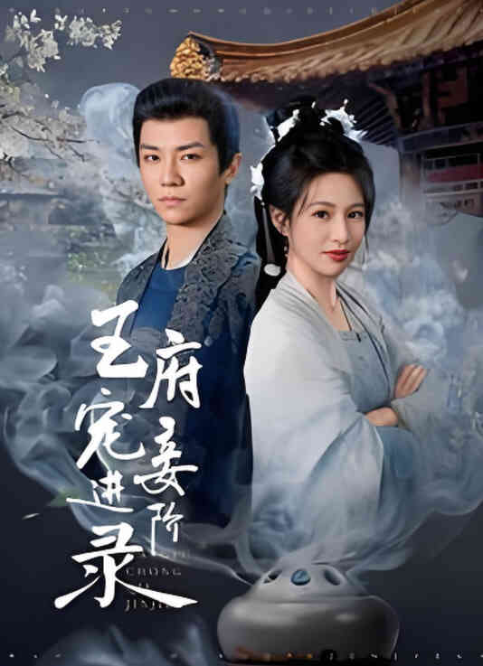 王府宠妾进阶录