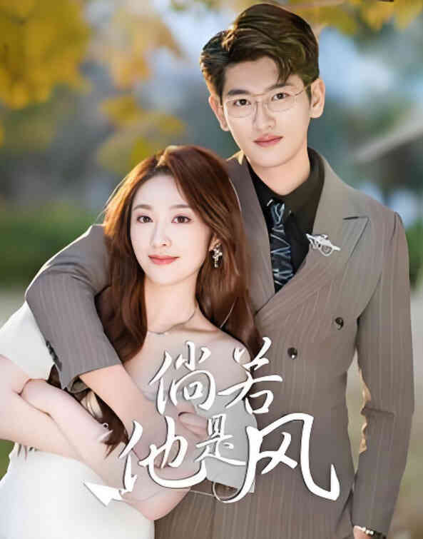倘若他是风