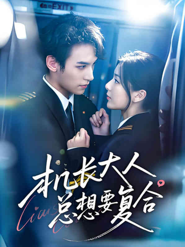 机长大人总想要复合