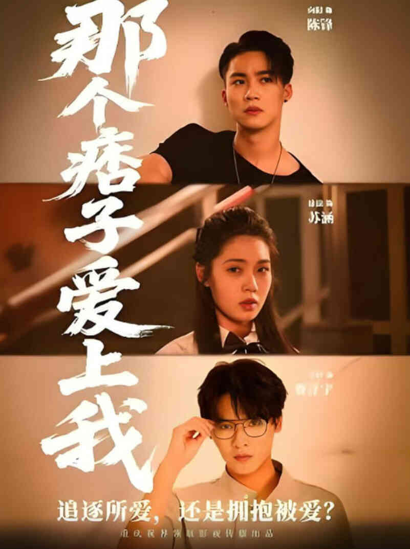 那个痞子爱上我