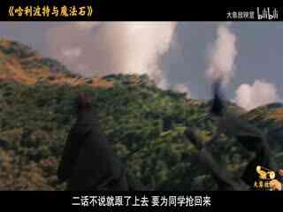 哈利·波特与魔法石_1295038_电影解说