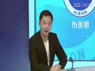 英超 布莱顿vs纽卡斯尔联20230903