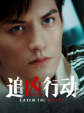 追凶行动