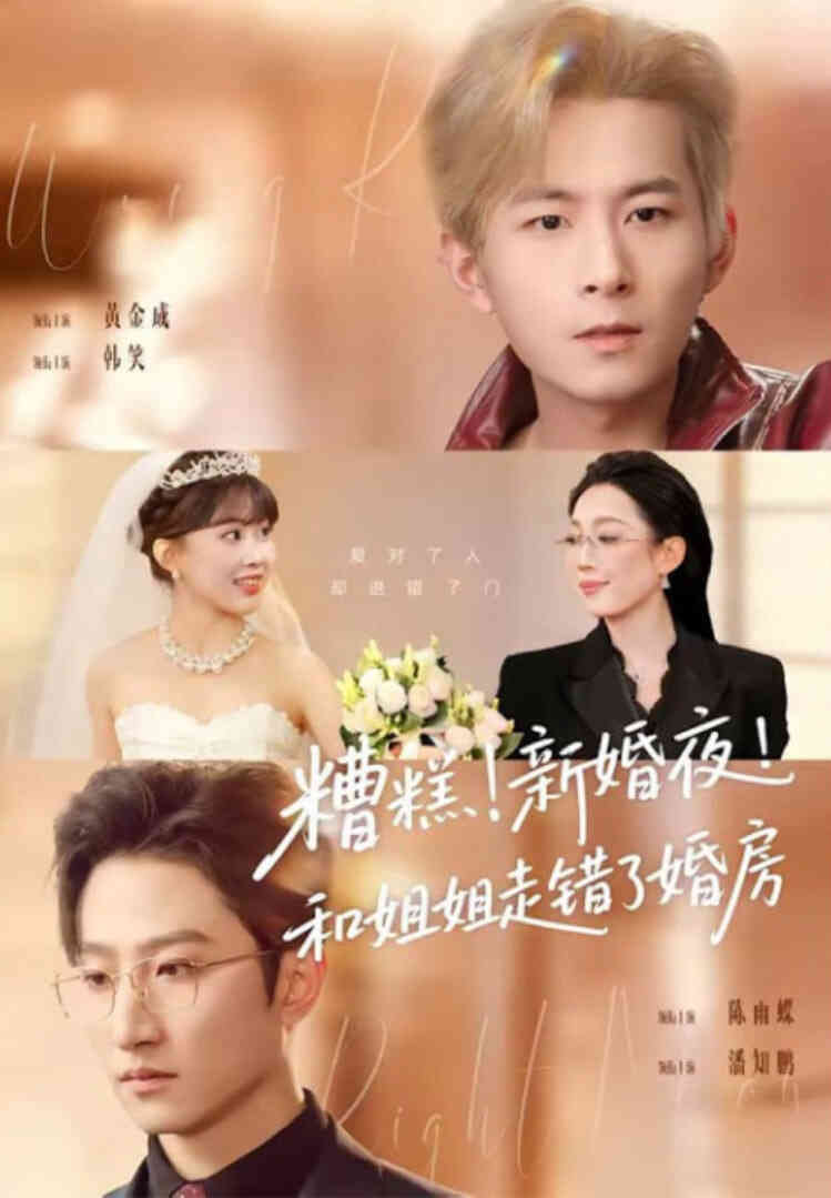 糟糕！新婚夜！和姐姐走错了婚房(糟糕新婚夜和姐姐走错了婚房)
