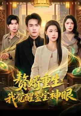 赘婿重生，我觉醒鉴宝神眼