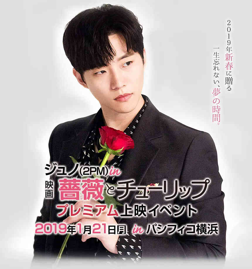 玫瑰与郁金香 薔薇