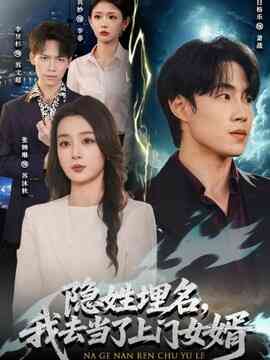 隐姓埋名，我去当了上门女婿